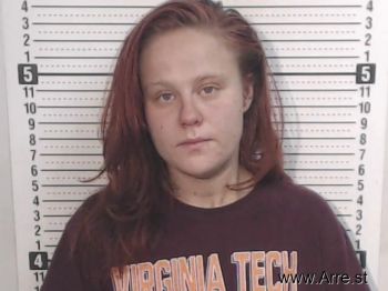 Sarah J Mitchem Mugshot