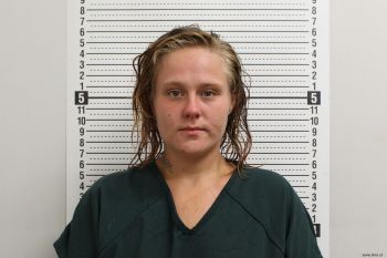 Sarah J Mitchem Mugshot