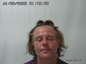 Sarah Jean Mitchem Mugshot