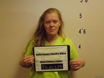 Sarina  Palacios Mugshot