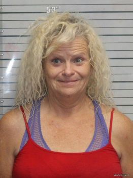 Saundra Sue Willis-stewart Mugshot