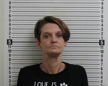 Selena L Seymour Mugshot