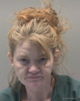 Shannon Nicole Anderson Mugshot