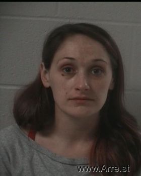 Shannon Renee Ellis Mugshot