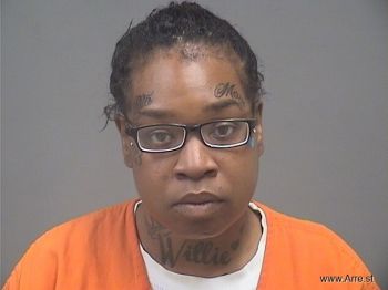 Shannon Shapree Wilson Mugshot