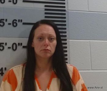 Shannon Rene Wolfe Mugshot