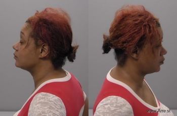 Shauntae Denise Bryant Mugshot