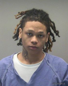 Shawn Michael Mcnary Jr Mugshot