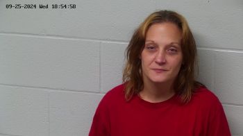 Shawna Lynn Harper-reed Mugshot