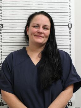 Shawna R Meyers Mugshot