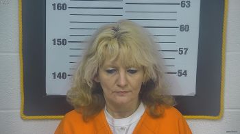 Sheila  Hensley Mugshot