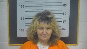 Sheila  Hensley Mugshot