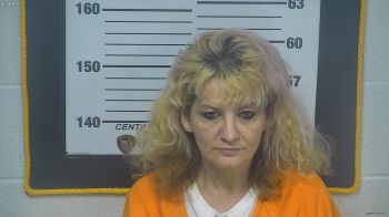 Sheila  Hensley Mugshot