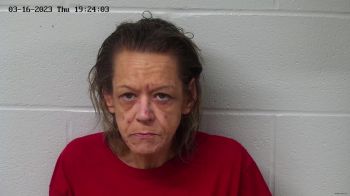 Shelia Renee Wolfe Mugshot