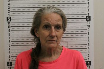 Shelly L Johnson Mugshot