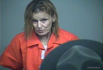 Sherry Ann Kitchen Mugshot