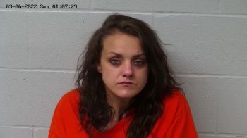 Skylare Anne Williams Mugshot