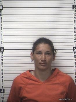 Staci Ann Grogan Mugshot