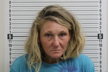 Stacie Denise Lauhon Wheeler Mugshot