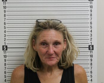 Stacie Denise Lauhon Wheeler Mugshot