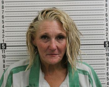 Stacie Denise Lauhon Wheeler Mugshot