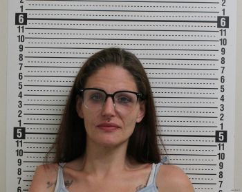 Stephanie B Leeth Mugshot