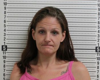 Stephanie B Leeth Mugshot