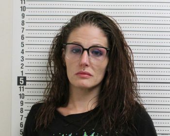 Stephanie B Leeth Mugshot