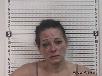 Stephanie Ann Williams Mugshot