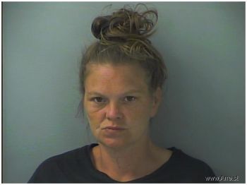 Stephanie Lynn Williams Mugshot