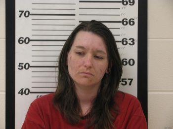 Stephanie M Wilson Mugshot