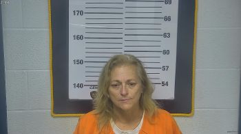 Suann  Hefflinger Mugshot