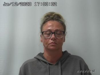 Susan  Bradford Mugshot