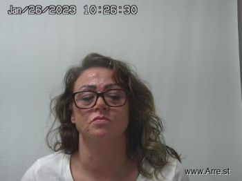 Susan Lynn Bradford Mugshot