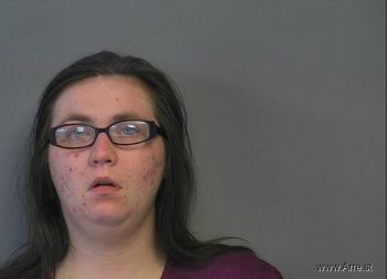 Susann K M Schwartz Mugshot