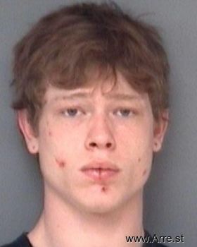 Travis Roy Swaink Mugshot