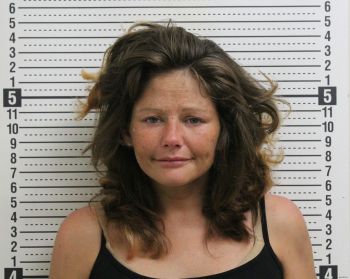 Tamara Nicole Detty Mugshot