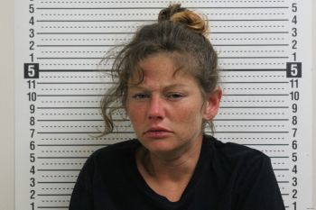 Tamara Nicole Detty Mugshot