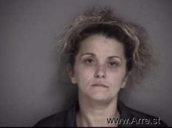 Tammy Renee Anderson Mugshot