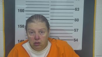 Tammy  Davis Mugshot