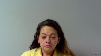 Tammy Kay Rice Mugshot