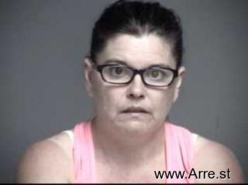 Tammy Patricia Vollmer Mugshot