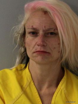 Tara Rene Wilson Mugshot