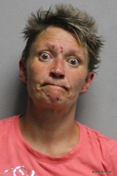 Tara Rene Wilson Mugshot