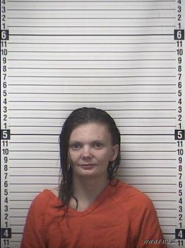 Taylor Renee Williams Mugshot