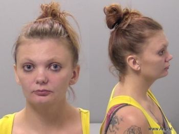 Taylor Renee Williams Mugshot