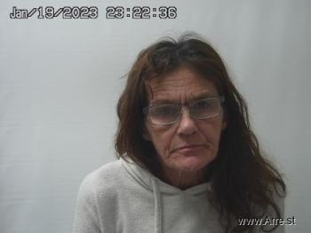 Teresa Lynn Hall Mugshot