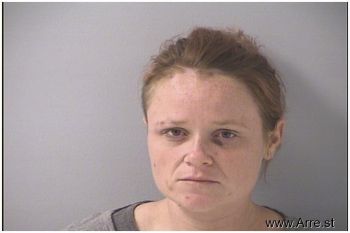 Terri Annette Holcomb Mugshot