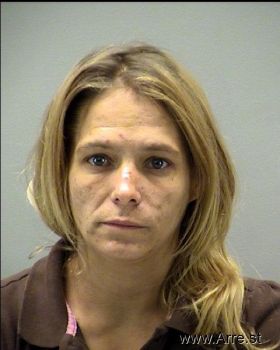 Terri N Nischwitz Mugshot