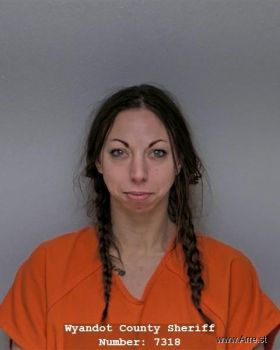 Tesla Amanda Jo Davis Mugshot